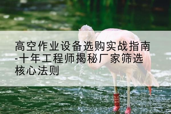 东宁剪叉式升降机厂家-高空作业设备选购实战指南-十年工程师揭秘厂家筛选核心法则