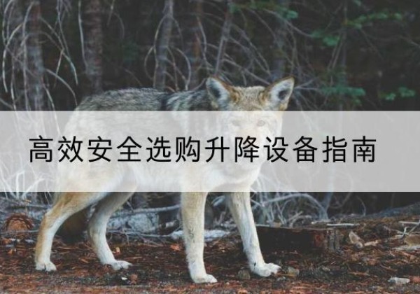东宁升降货梯厂家推荐-*安全选购升降设备指南