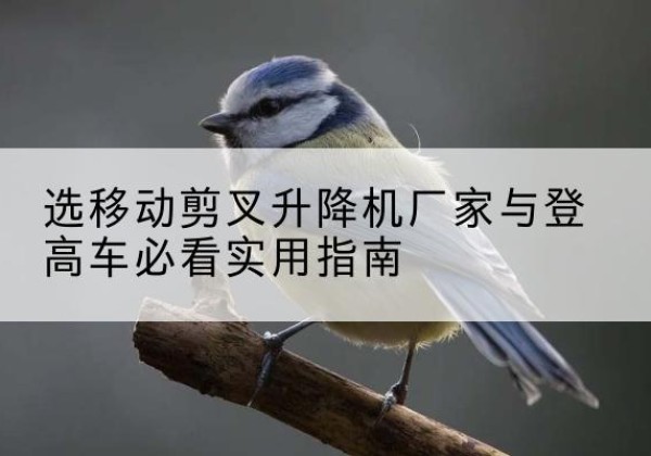 东宁电动升降机厂家-选移动剪叉升降机厂家与登高车必看实用指南