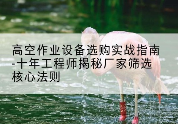 东宁剪叉式升降机厂家-高空作业设备选购实战指南-十年工程师揭秘厂家筛选核心法则